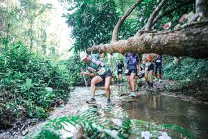 BIB: 
                            <button type="button" onclick="openModal(25445494)" class="btn btn-primary btn-sm float-right btn-popup" data-toggle="modal" data-target=".modal-high-quality">
                        <i class="fas fa-shopping-cart"></i> Add to Cart
                    </button>
                                            <button type="button" onclick="isThisMe(25445494, true)" class="btn btn-success btn-sm float-right btn-popup btn-isme hidden" data-toggle="tooltip" data-placement="bottom" title="นี่คือรูปของคุณใช่ไหม คลิกที่นี่เพื่อเอาเข้าอัลบั้ม">
                        <i class="fas fa-plus"></i> Add to album
                    </button>
                    <button type="button" onclick="isThisMe(25445494, false)" class="btn btn-warning btn-sm float-right btn-popup btn-isnotme hidden">
                        <i class="fas fa-ban"></i> Remove from album
                    </button>